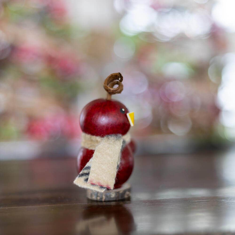 Hand-Crafted Gourd - Lil Red Birdie - Animal Decor