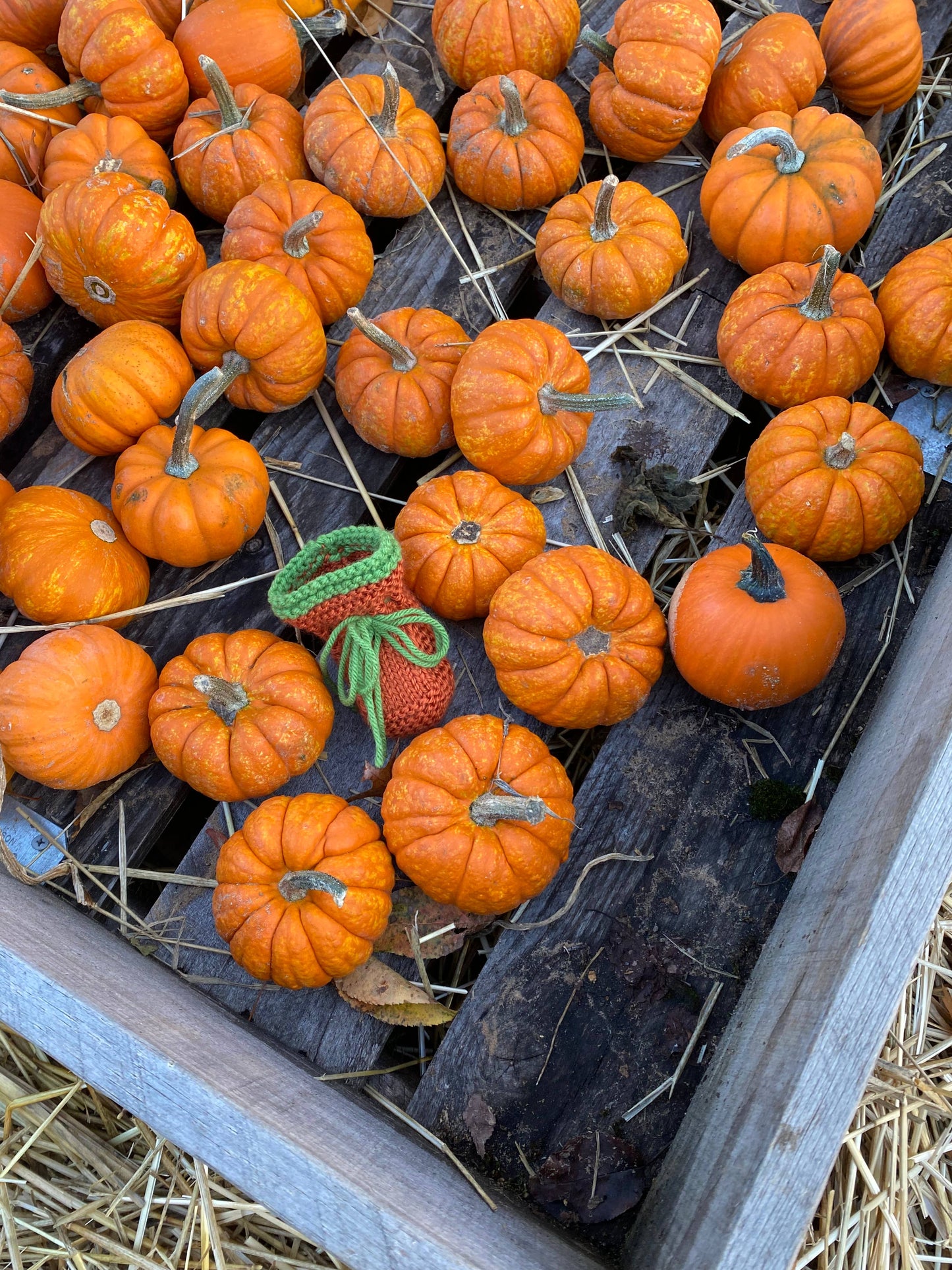Pumpkin Baby Hat