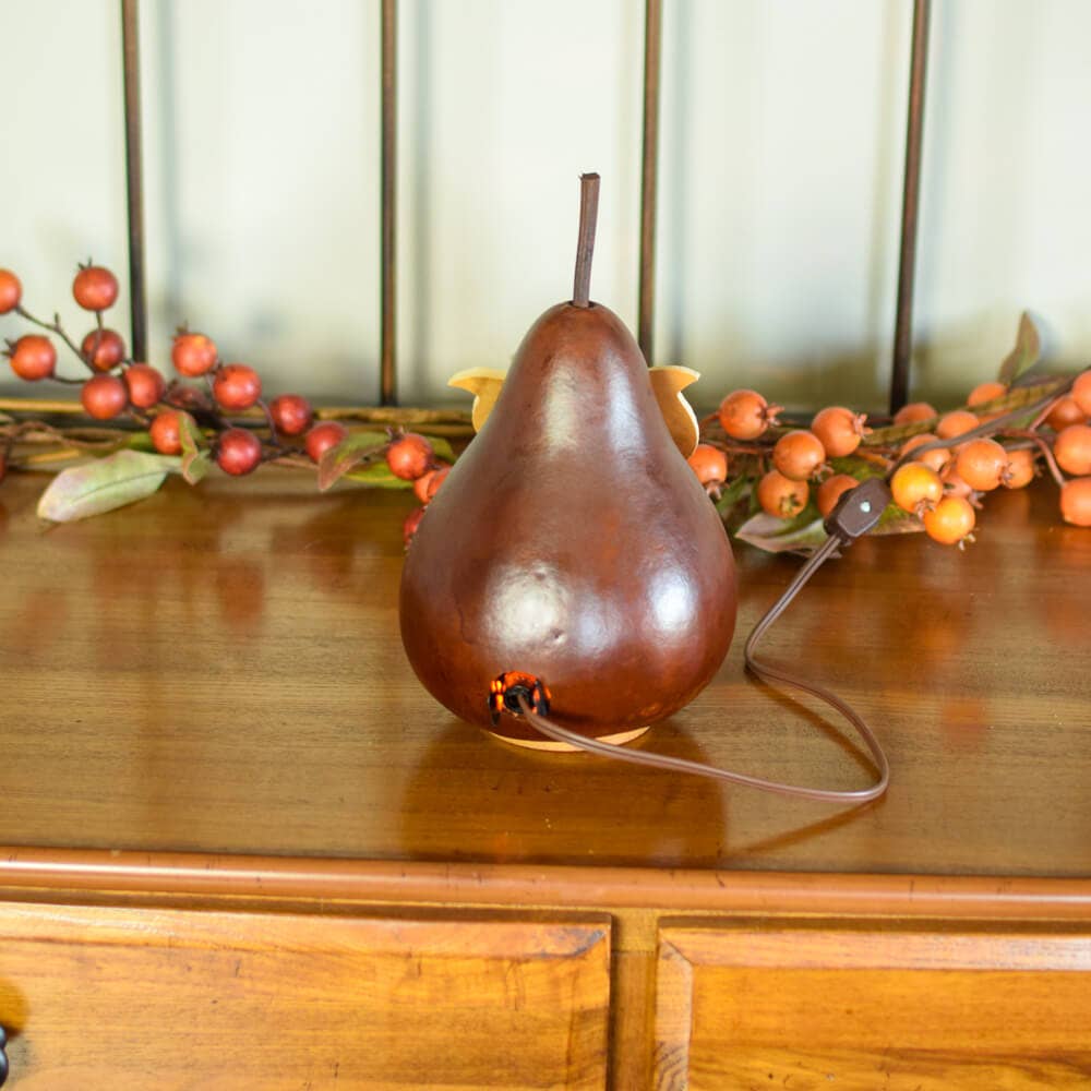 Owl Gourd Luminary - Professor Owl Small Lit