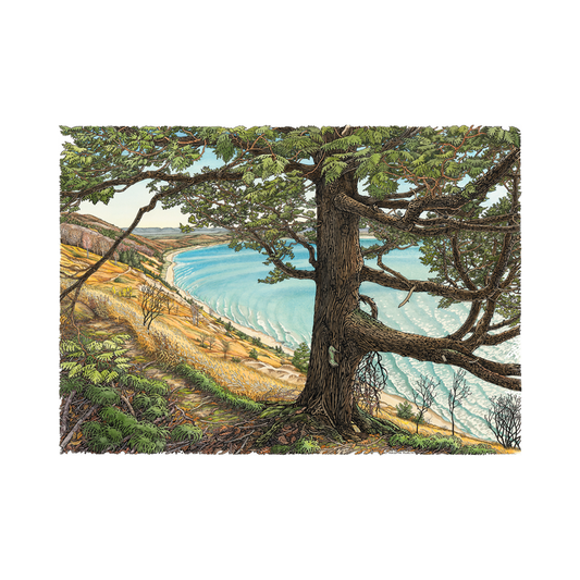 Cedar Bluff Trail Print