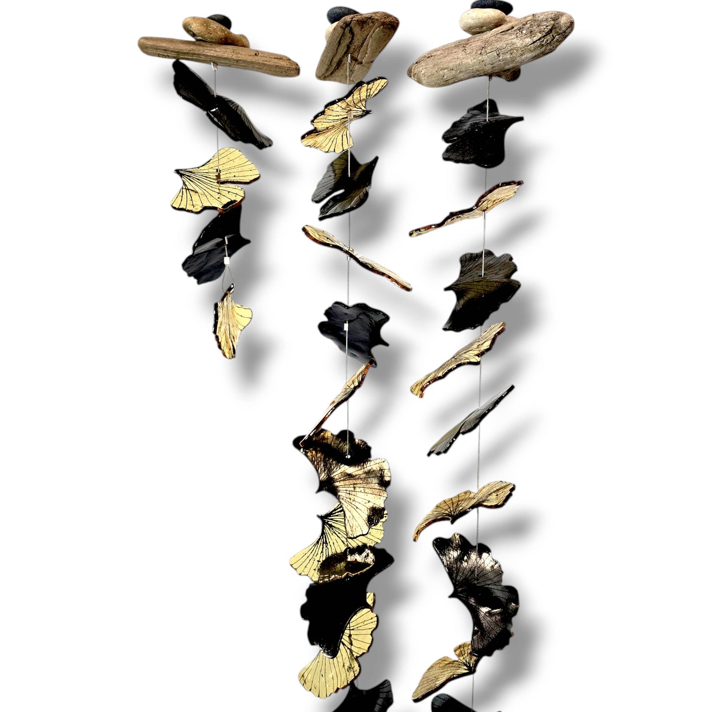 Golden Ginkgos: 1 foot