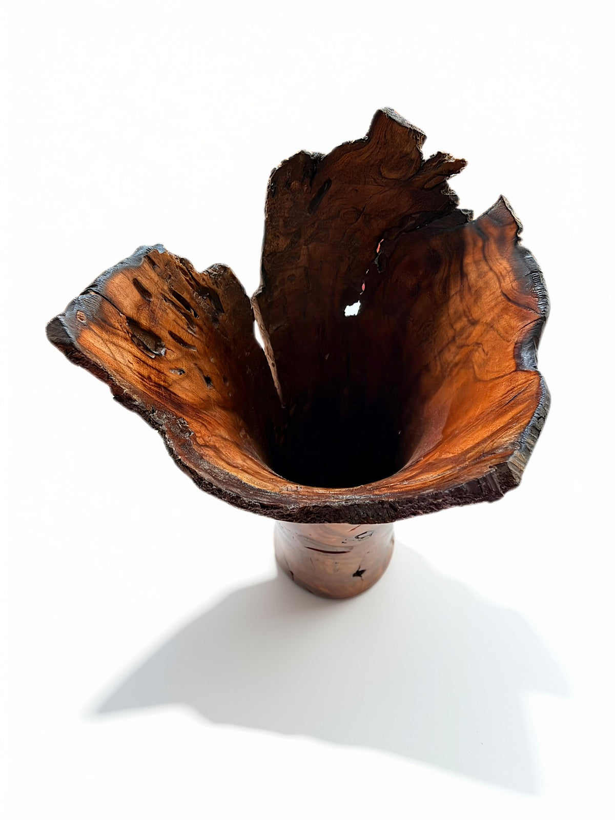 Wild Plum Vase