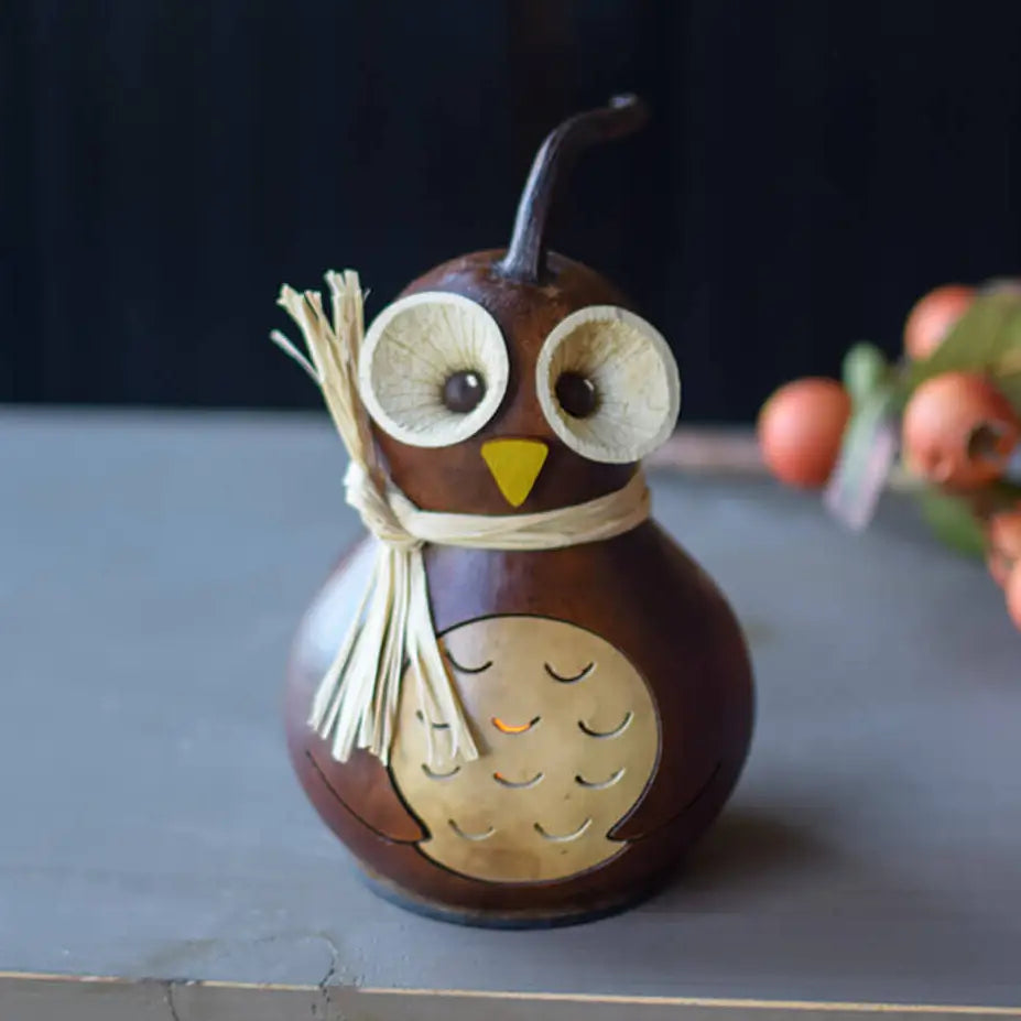Professor Owl Gourd