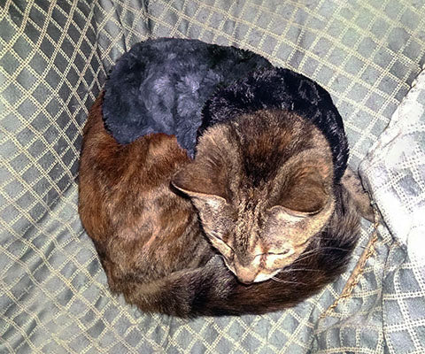Faux Fur Pet Coat - Highland Skye