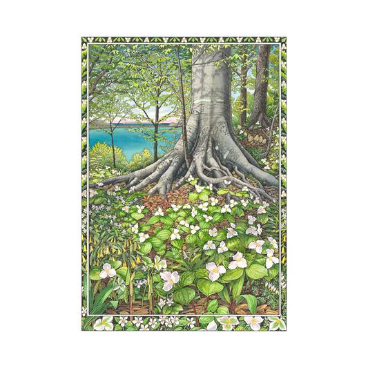 Dreaming of Spring Print