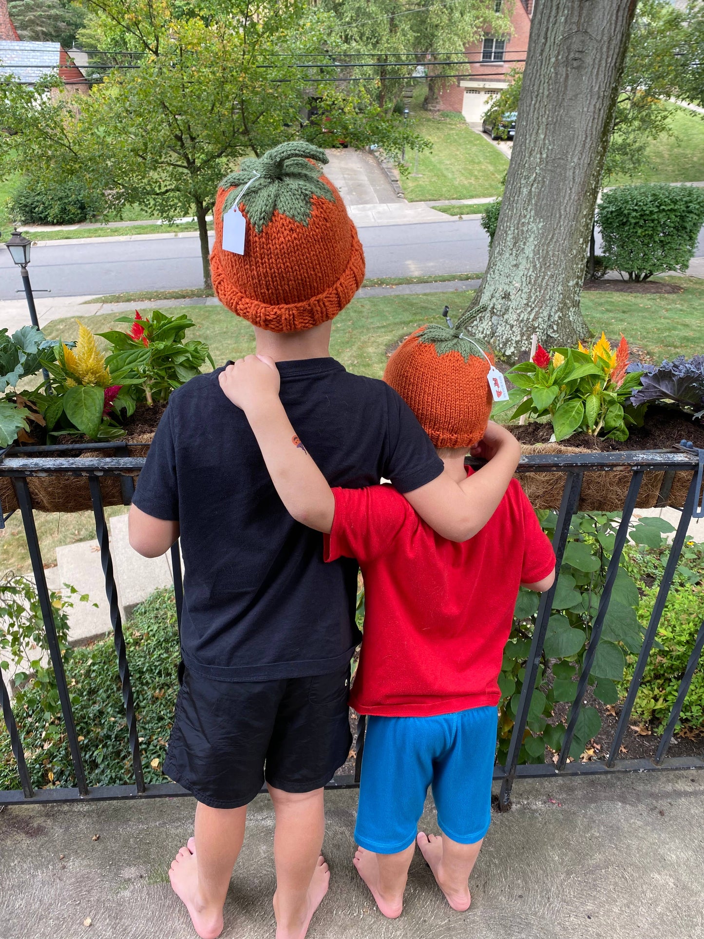 Pumpkin Baby Hat