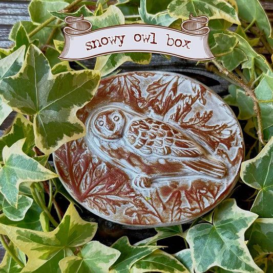 Owl Trinket Box